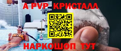 СК Донской