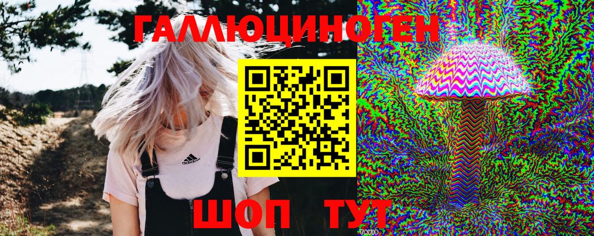 Галлюциногенные грибы MAGIC MUSHROOMS  цена   Вход с VPN  Майкоп  Псилоцибиновые грибы Cubensis 