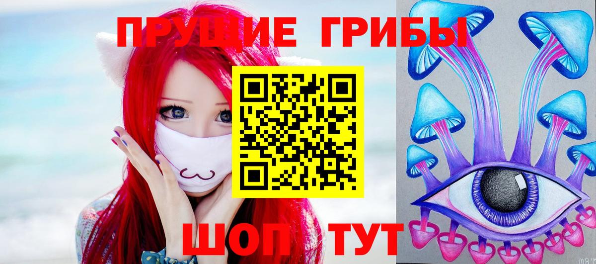 Псилоцибиновые грибы мицелий Майкоп